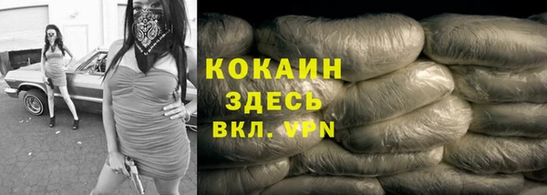 СК Елизово