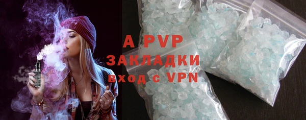 СК Елизово