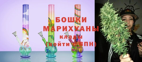 СК Елизово