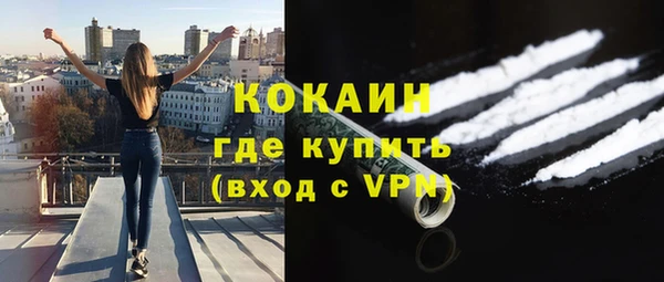 СК Елизово