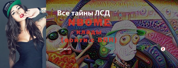 СК Елизово