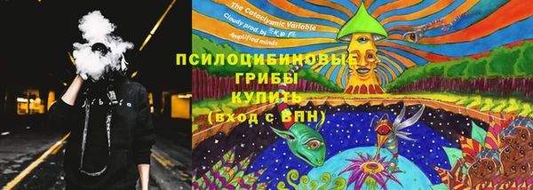 СК Елизово