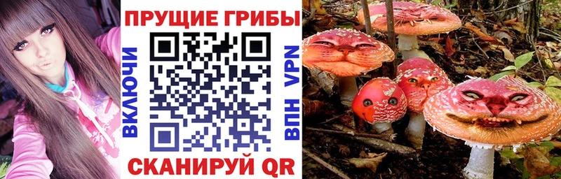 Галлюциногенные грибы мухоморы  Купить  Заводоуковск 